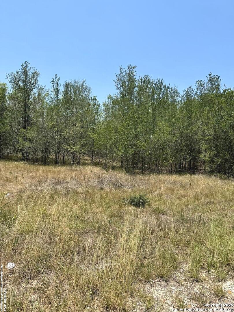 Grass and mature trees on the lot at 325 County Avenue in Sutherland Springs